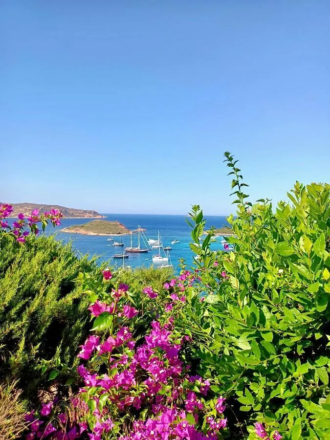 شقة San Teodoro Punta Est Delizioso Monolocale Vista Mare إيطاليا